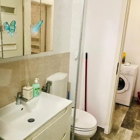 Joy City Colonel Enescu 16 Apartment Timisoara