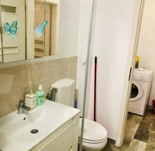 Joy Colonel Enescu 16 Appartamento Timisoara