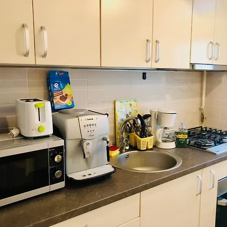 Joy Colonel Enescu 16 Apartment Timişoara