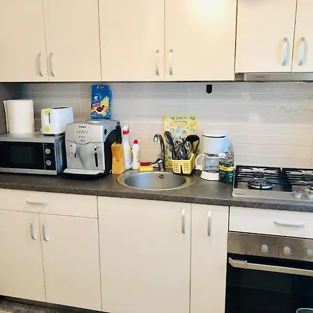 Joy Colonel Enescu 16 Apartment Timişoara