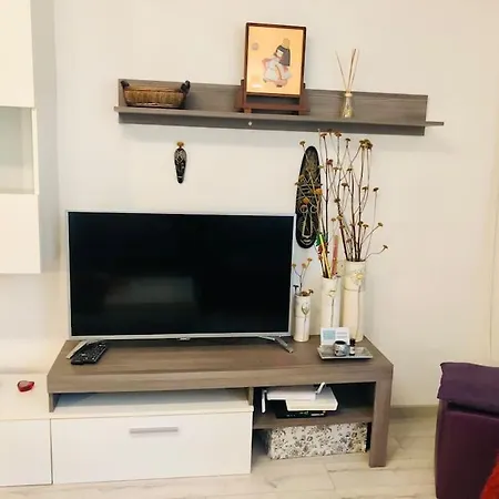 Apartment Joy Colonel Enescu 16 *