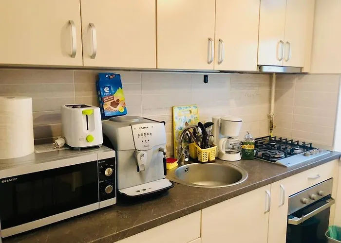 Joy Colonel Enescu 16 Apartment Timişoara