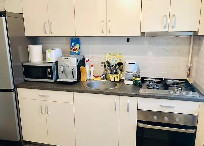 Joy Colonel Enescu 16 Apartment Timişoara