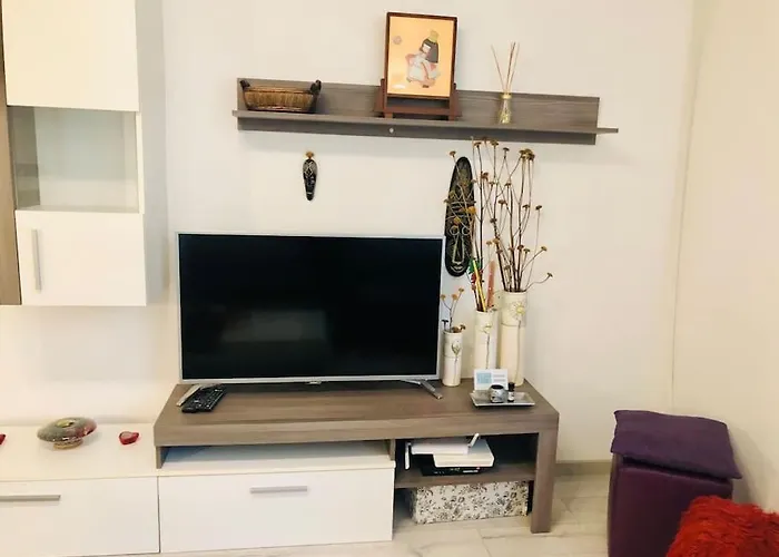 Apartment Joy Colonel Enescu 16 *